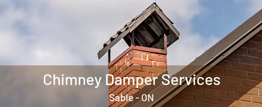  Chimney Damper Services Sable - ON