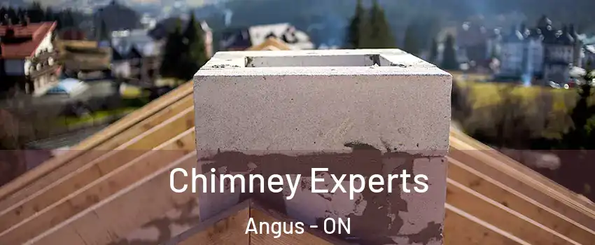  Chimney Experts Angus - ON