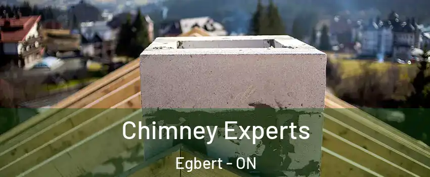  Chimney Experts Egbert - ON
