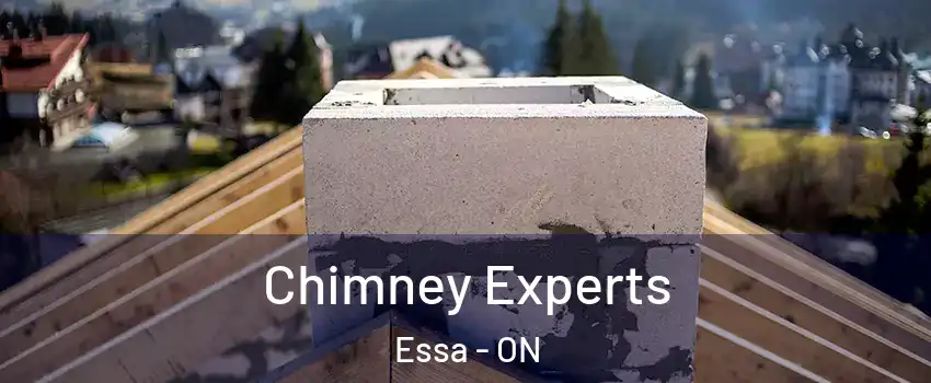  Chimney Experts Essa - ON