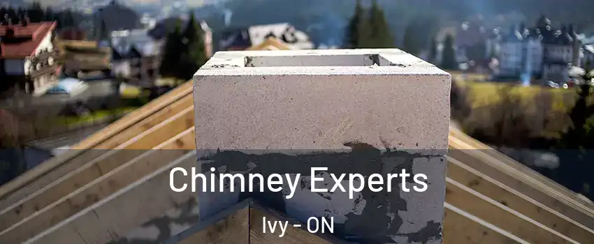  Chimney Experts Ivy - ON