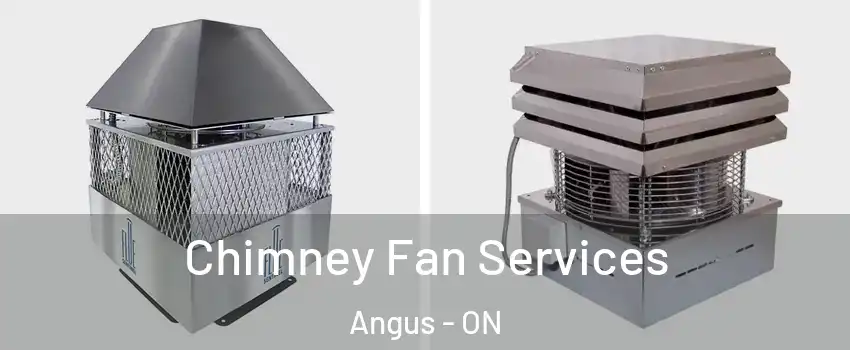  Chimney Fan Services Angus - ON