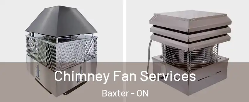  Chimney Fan Services Baxter - ON
