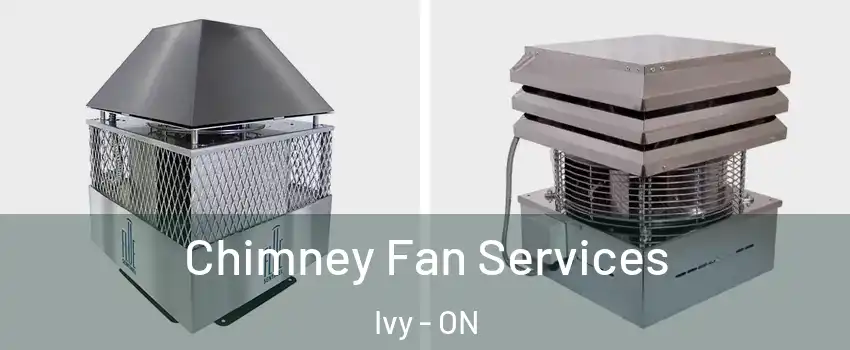  Chimney Fan Services Ivy - ON