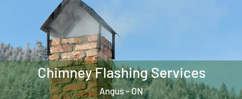 Chimney Flashing Services Angus - ON
