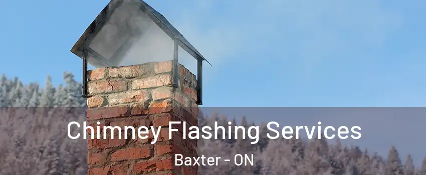  Chimney Flashing Services Baxter - ON