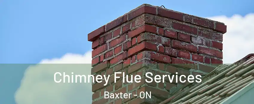  Chimney Flue Services Baxter - ON