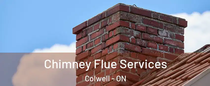  Chimney Flue Services Colwell - ON