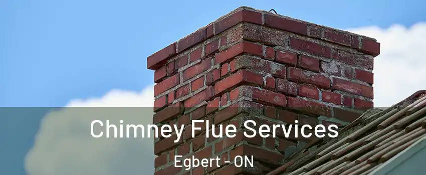  Chimney Flue Services Egbert - ON