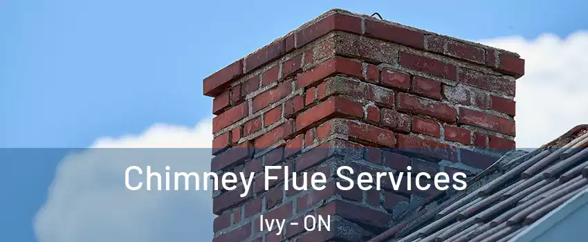  Chimney Flue Services Ivy - ON