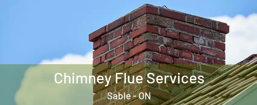  Chimney Flue Services Sable - ON