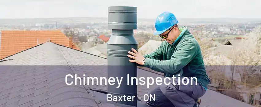  Chimney Inspection Baxter - ON