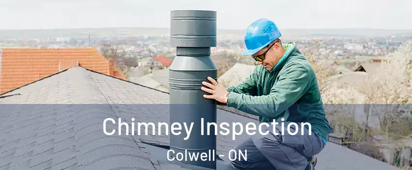  Chimney Inspection Colwell - ON