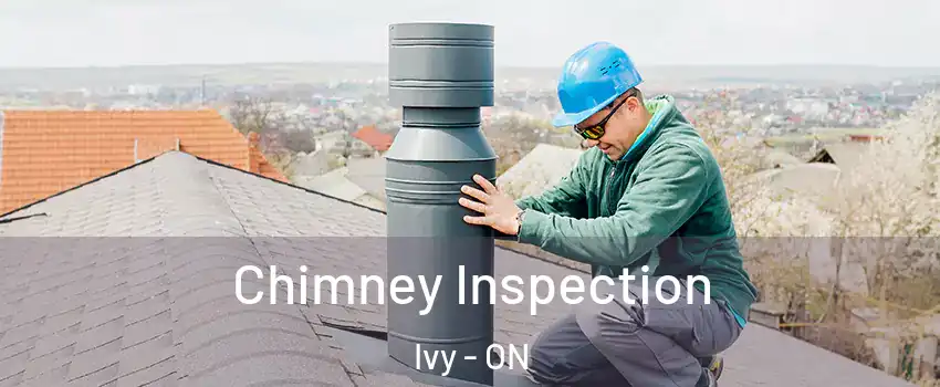  Chimney Inspection Ivy - ON