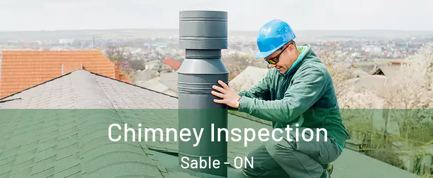  Chimney Inspection Sable - ON