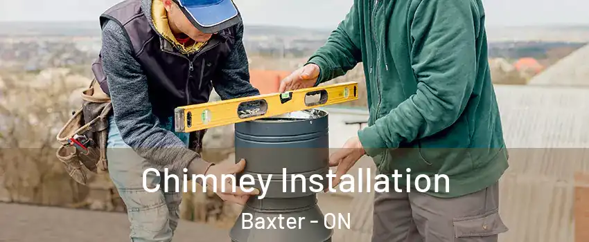  Chimney Installation Baxter - ON
