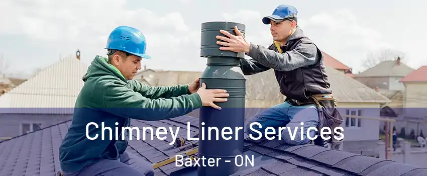  Chimney Liner Services Baxter - ON
