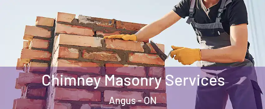  Chimney Masonry Services Angus - ON