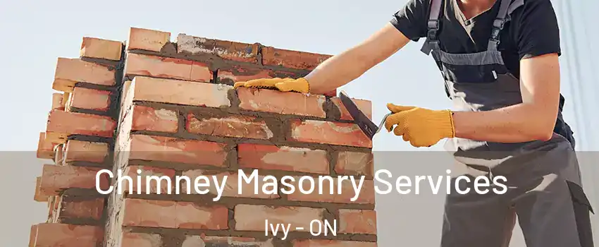  Chimney Masonry Services Ivy - ON