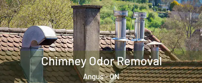  Chimney Odor Removal Angus - ON