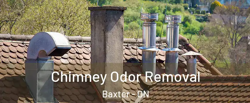  Chimney Odor Removal Baxter - ON