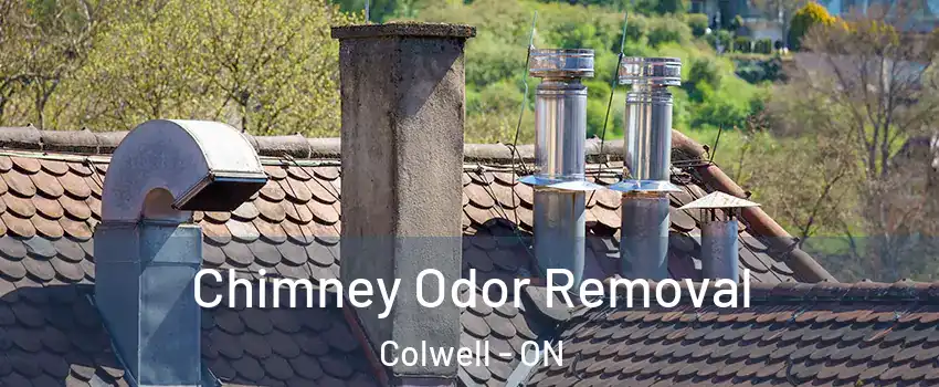  Chimney Odor Removal Colwell - ON