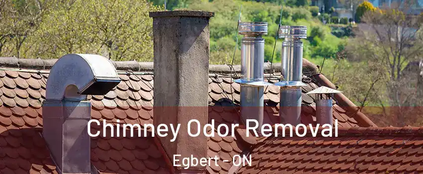  Chimney Odor Removal Egbert - ON