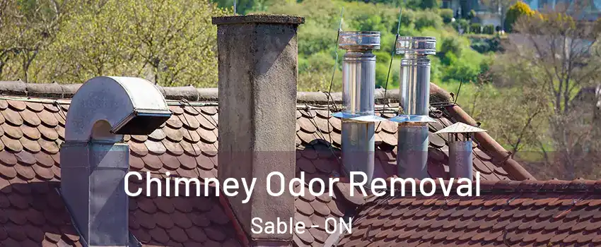  Chimney Odor Removal Sable - ON