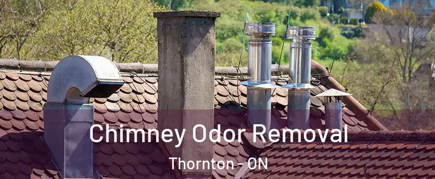  Chimney Odor Removal Thornton - ON