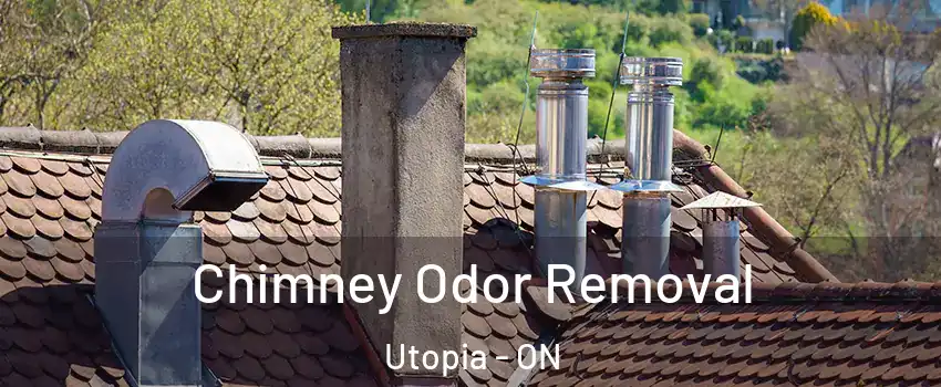  Chimney Odor Removal Utopia - ON