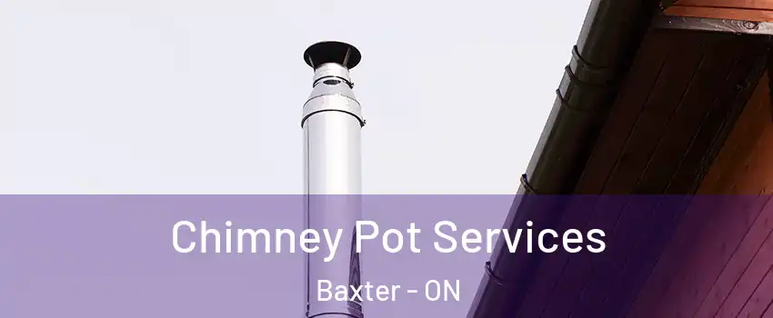  Chimney Pot Services Baxter - ON