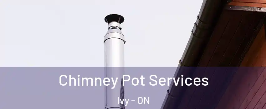  Chimney Pot Services Ivy - ON
