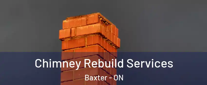  Chimney Rebuild Services Baxter - ON