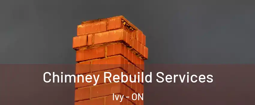  Chimney Rebuild Services Ivy - ON