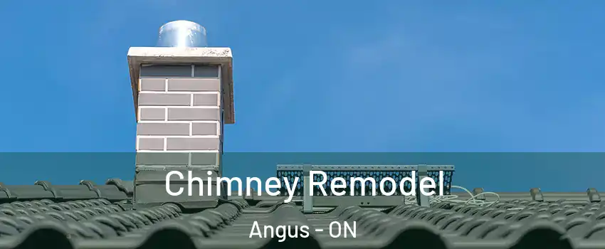  Chimney Remodel Angus - ON