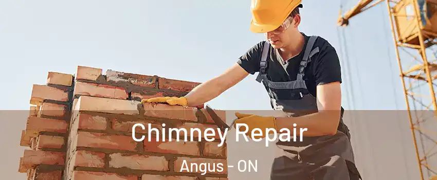  Chimney Repair Angus - ON