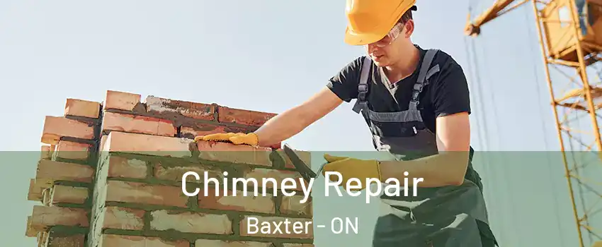  Chimney Repair Baxter - ON