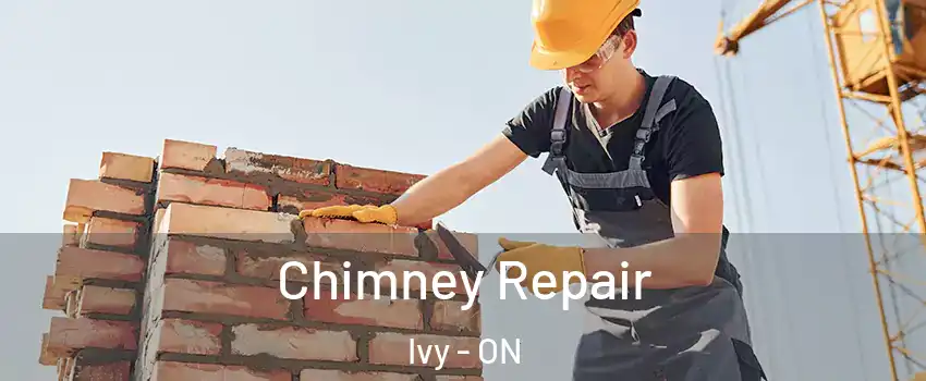  Chimney Repair Ivy - ON