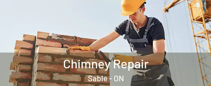  Chimney Repair Sable - ON