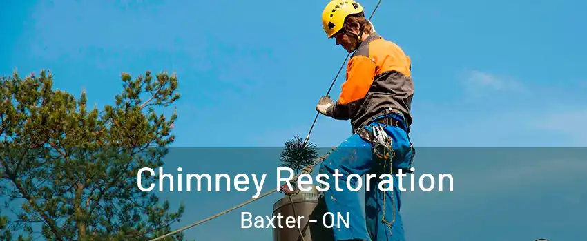  Chimney Restoration Baxter - ON