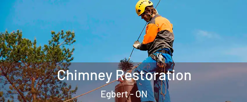  Chimney Restoration Egbert - ON