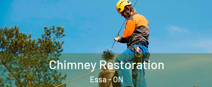  Chimney Restoration Essa - ON