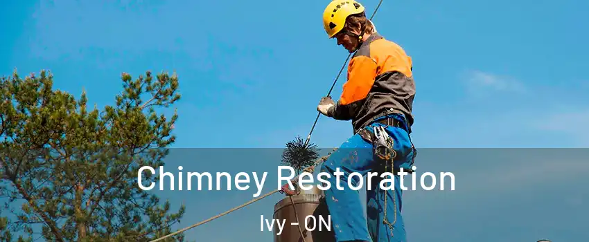  Chimney Restoration Ivy - ON