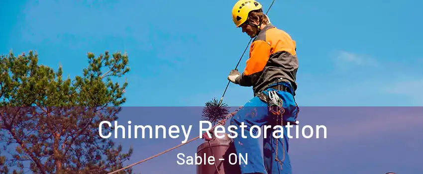  Chimney Restoration Sable - ON