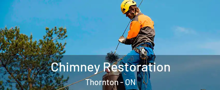  Chimney Restoration Thornton - ON
