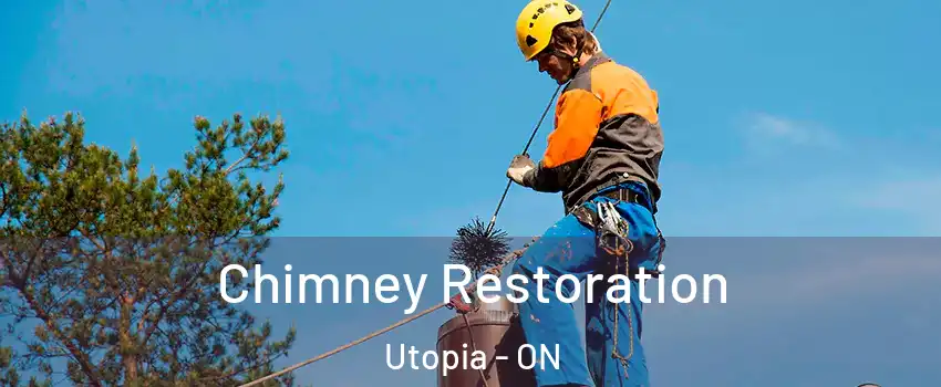  Chimney Restoration Utopia - ON