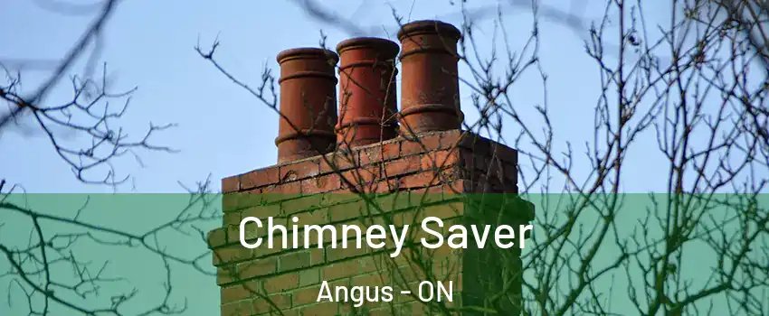  Chimney Saver Angus - ON