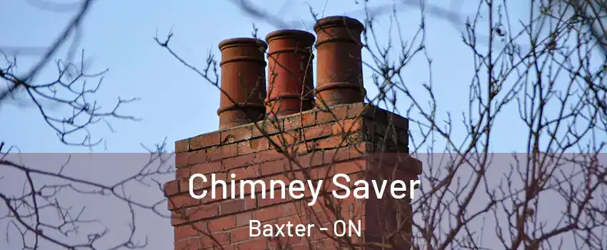  Chimney Saver Baxter - ON