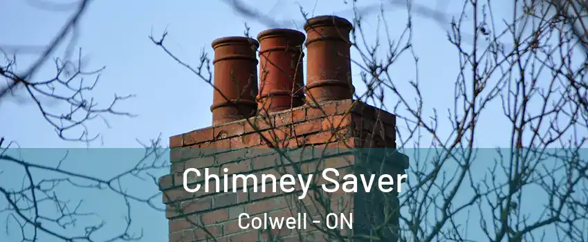  Chimney Saver Colwell - ON