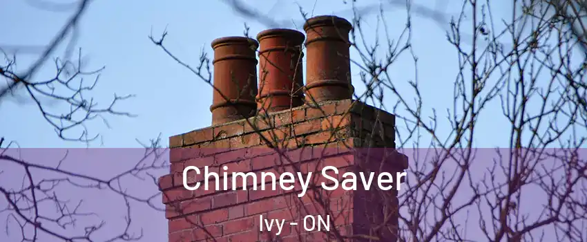  Chimney Saver Ivy - ON